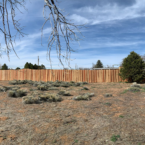Fencing Services